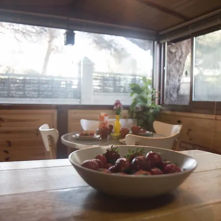 בית נופש Wood House Close מארבלה