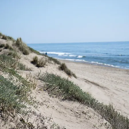 Wood House Close Tatil Evi *