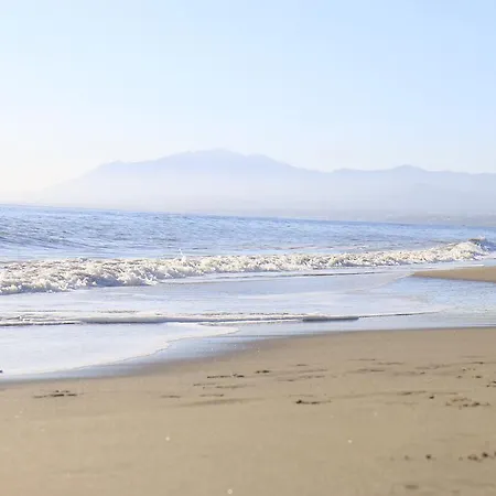 Wood House Close Marbella