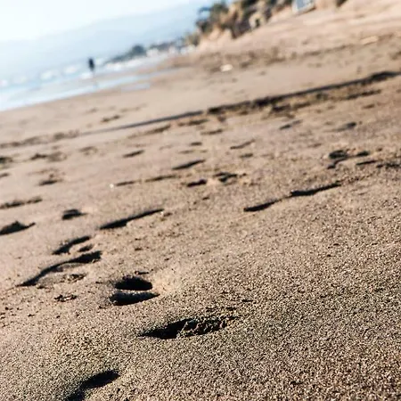 Wood House Close Holiday home *