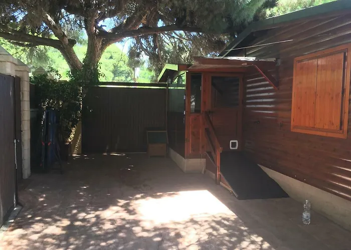 Wood House Close